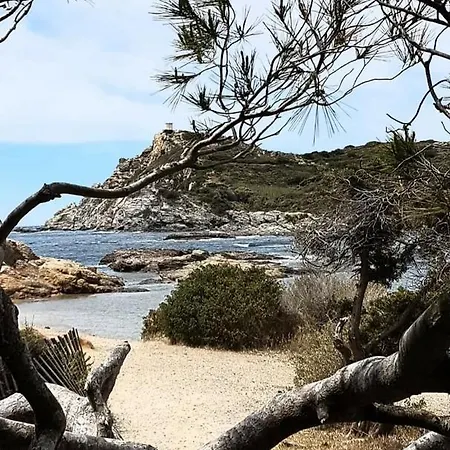 Appartement Les Pins Six-Fours-les-Plages