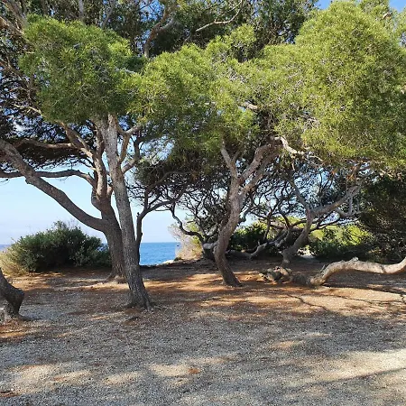Apartment Les Pins *