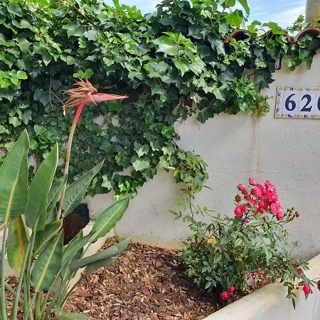 Les Pins Apartment Six-Fours-les-Plages